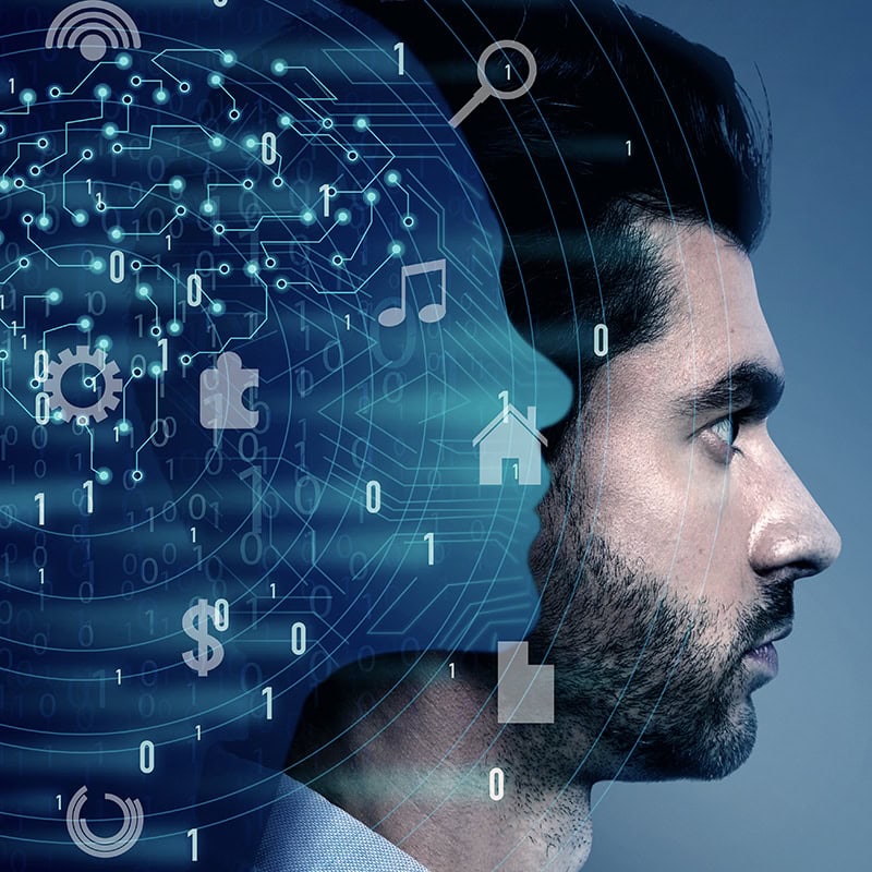 Wie Erkenntnisse der Neuropsychologie das Digitale Marketing beeinflussen