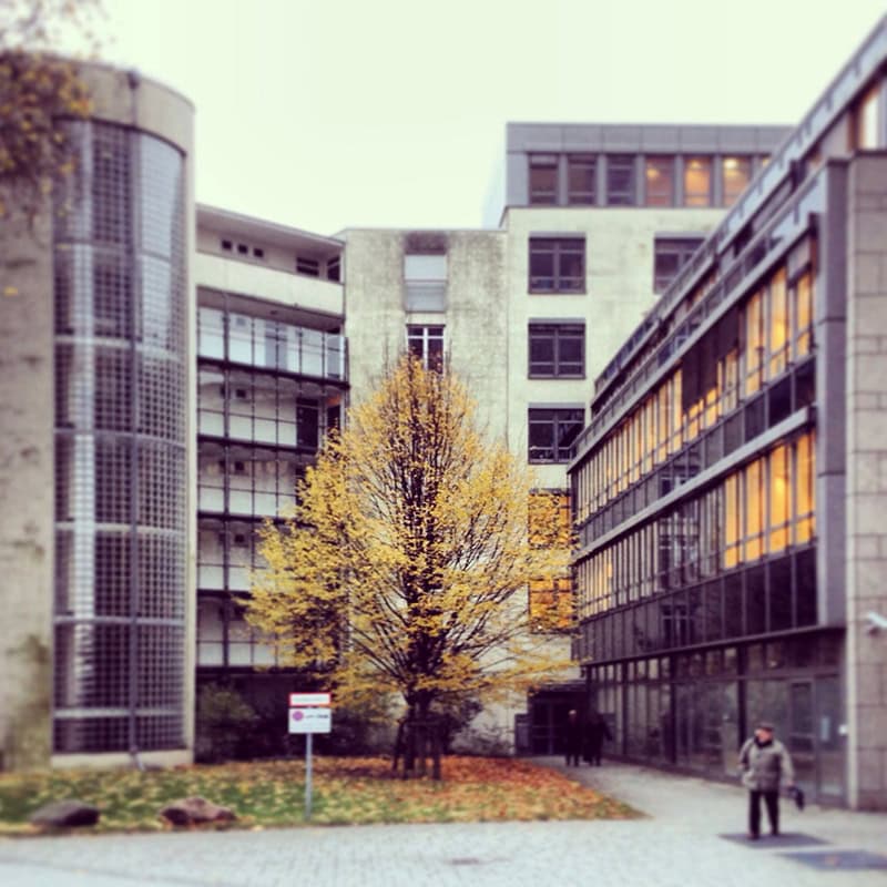 Professionelles Marketing für Ihre Universitätsklinik: Digital präsent mit wissenschaftlicher Kompetenz